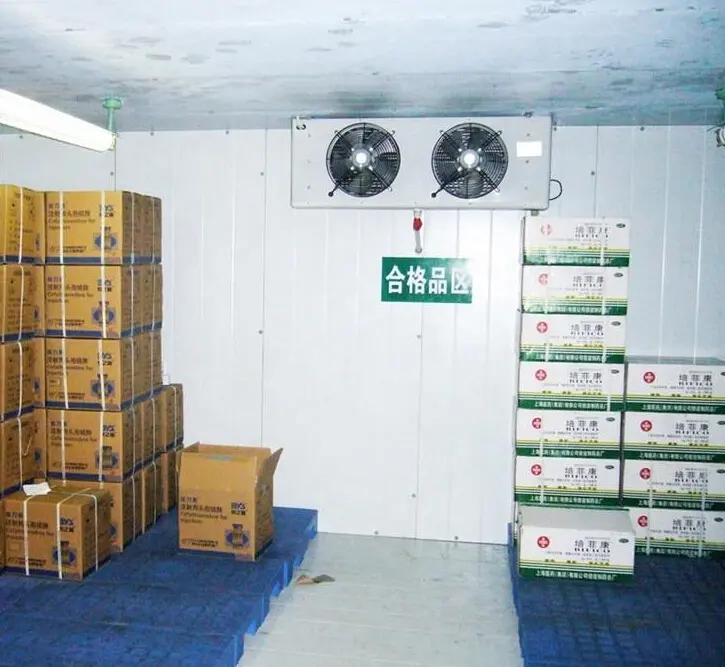 Armazenamento na sala fria 20ft 40ft recipiente refrigeração 50 ton 100 ton blast freezer preço para carne de peixe frango e cebola