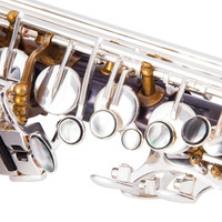 E-flat Retro Series Alto Saxophone with Gold Lacquer Finish and Brass Body-Woodwind Instrument