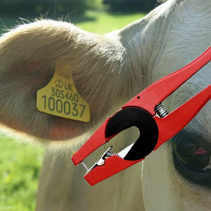 Tiere verwenden Ear Tagger Maker Metall Vieh Rinder Kuh Schaf Tier Markierung Ohr marke Zange