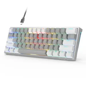 60% Wired RGB LED Backlit Mini Gaming Mechanical Keyboard 61 Keys USB Type C Interfaces Red Switch Body English Laptop Players