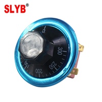 Thermostat capillaire WHD-300E 50-300 degrés pour incubateur d'œufs, contrôleur de température, chauffe-eau à gaz, four, bouton en fer, AC220V, usage commercial