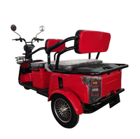 Tricycle électrique à trois roues à carrosserie ouverte EEC/COC/L2e-P, tricycle électrique pour passagers, scooter trike pour le marché européen
