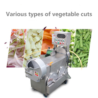 Geluidsarme Multi-Groente Shredder En Fruitsnijmachine Rasp Groentesnijmachine Schijfbladen Uiensnijder Dunschiller Groentesnijder