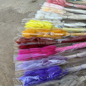 M85 fiori secchi colorati coniglietto <span class=keywords><strong>piante</strong></span> floreali coniglio erba Bouquet decorazione per la casa accessori foto naturale Lagurus Ovatus - Product Image 2