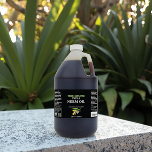 Số lượng lớn dầu thực vật tự nhiên nhà sản xuất, Bán Buôn nguyên Ấn Độ dầu Neem 100% tinh khiết cho phun tóc & da lạnh ép, chưa tinh chế - Product Image 4