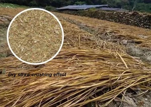 Khô Ngô Thân Cây Nghiền Hạt Máy Xay Điện Ngô Ngô Nhà Máy Gia Súc Cừu Gà Máy Xay Mài Máy - Product Image 6