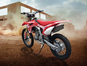 Venta Especial Motocicleta Todoterreno de 250cc Eléctrica/de Gasolina para Adultos, Motor de 4 Tiempos y 250cc, Frenos de Disco Delanteros y Traseros - Product Image 1