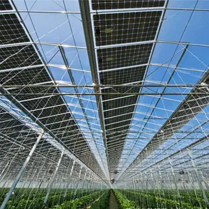 Invernadero solar fotovoltaico multispan de vidrio para verduras, venta directa de fábrica