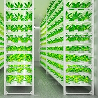 Banc de serre Tables multicouches Système de support de table de culture verticale Système de culture LED personnalisé à plusieurs niveaux pour plantes d'intérieur