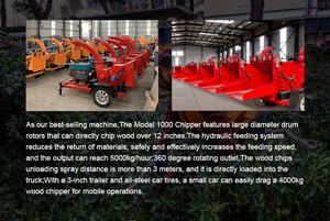 Broyeur de bois de petite branche d'arbre hautement performant Mini déchiqueteuse de bois - Product Image 3