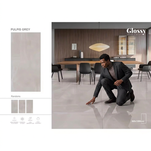 Standard White Marble 60x120cm Glossy Porcelain Tiles Premium Ceramic Flooring Made in India Collection - Product Image 5