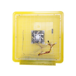 Incubateur automatique pour l'élevage à domicile avec contrôle de température et double alimentation pour poussins - Product Image 5