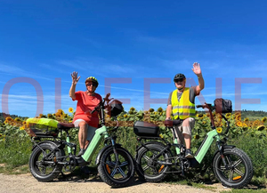 QUEENE/Bicicleta Eléctrica Urbana con Llantas Gruesas de 20 Pulgadas, Bicicleta Eléctrica Híbrida de 48V con Suspensión Completa para Adultos - Product Image 1