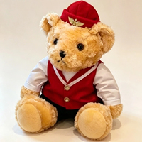 Peluche personnalisée OEM Capybara avec uniforme, jouet en peluche doux en coton PP, créez votre propre design pour cadeau d'enfant