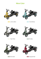 Scooter électrique S20-15 avec frein électromagnétique |   Moteur d'essieu arrière 500W, batterie au lithium 48V pour utilisation en usine, dans les parcs et sur les campus