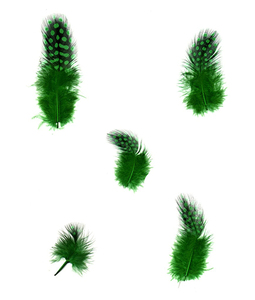 Hy Bán Buôn Nhuộm Guinea Hen Bộ Lông Trong 2-4Inch Guinea Hen Bộ Lông Lông Cho Đảng Đám Cưới - Product Image 1