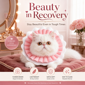 Collier Élisabeth Ajustable en Plastique EVA Ultra-Léger pour Animaux de Compagnie - Idéal pour Chats, Chiens et Petits Animaux Après Chirurgie - Anti-Léchage - Product Image 1