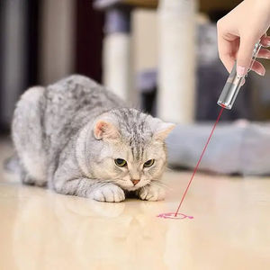 Giocattolo Interattivo Moderno per Gatti con Luce a Punto Rosso, Bastone in Metallo per Allenamento ed Esercizio, per Tutte le Stagioni - Product Image 1