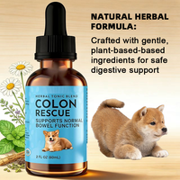 Complément nutritionnel OEM/ODM pour la santé intestinale des chiens et des chats, soutien ciblé pour le tractus gastro-intestinal inférieur