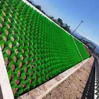Géocellule végétative verte pour la stabilisation des allées gazonnées et des parkings