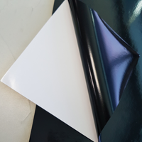 Autocollant noir en forme d'œuf, papier de sécurité, autocollant anti-contrefaçon jetable, matériau d'impression d'étiquettes de garantie électronique