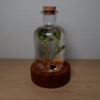 Lampe de chevet en résine époxy Rechargeable veilleuses pierres précieuses et fleurs séchées à l'intérieur de la lampe de bouteille nordique avec couvercle en liège