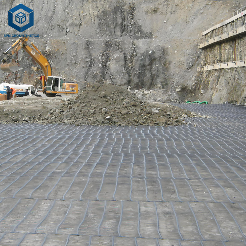 High Quality Chinese Factory Geogrid for