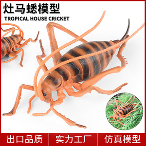 Modelos de simulación de insectos y animales sólidos y realistas para niños: garrapatas, grillos, gatos, pollos, para el desarrollo cognitivo - Product Image 1