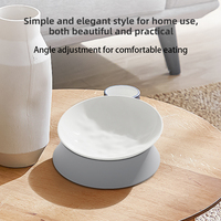 Produits Tendances : Gamelle en Silicone pour Animaux de Compagnie, Accessoires en Céramique pour Animaux, Sans Dropshipping, Conception Détachable pour un Nettoyage Facile et une Protection du Cou