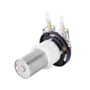 PENGPU 12V DC ブラシモーター 40mLPM ミニペリスタルティックポンプ 24V ウォーターポンプ BPTチューブ 低価格 - Product Image 2