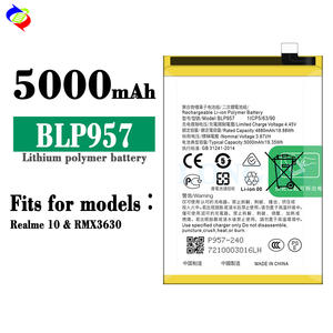 BLP957อะไหล่แบตเตอรี่สำหรับโทรศัพท์ OPPO realme 10 4G 5000mAh ใหม่เอี่ยม0รอบ - Product Image 2