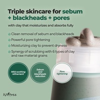 [Isntree] Masque à l'argile apaisant à l'armoise 100ml avec 6 sérums pour le contrôle du sébum et l'élimination des points noirs, masque à rincer