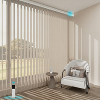 Rideau voilage motorisé beige filtrant la lumière avec commande WiFi Google Alexa pour salon, livraison rapide