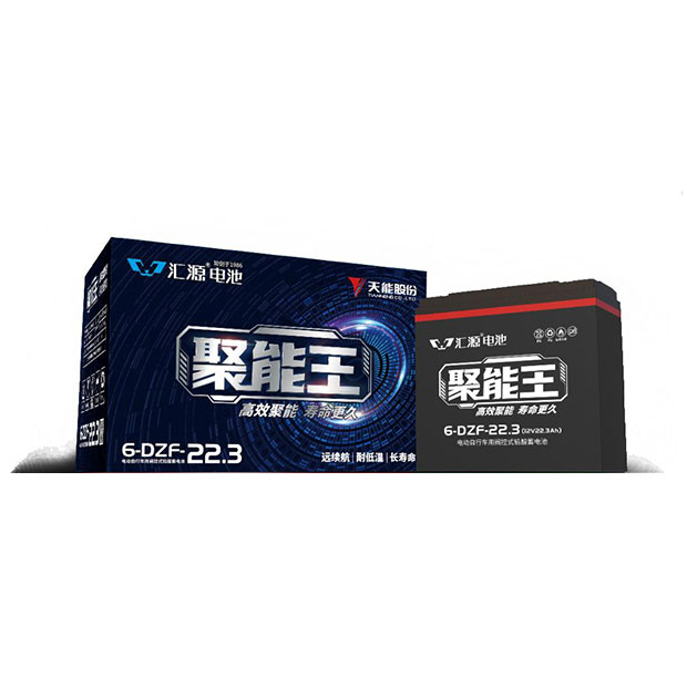 Tianneng 12V 22.3Ah Lead Acid Battery for Electric Scooters and