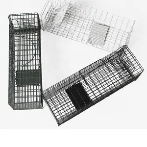 2018 hot sale pest control ch60401 mouse lizard glue cage squirrel trap board l41 h13 w13cm funnel trap factory cn zhe
