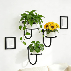 Soporte de Pared para Plantas de Metal Negro, Moderno, Estante para Macetas, Colgador de Macetas para Interiores y Exteriores - Product Image 1