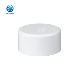 Wholesale Can Customize PVC end cap for water supply pipe cover Schedule 40 ASTM D2466