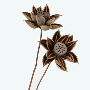 Vente en gros Fleur séchée à la main fleurs en bois séchées bourgeon rouge lotus pour artiste bouddhiste décoration intérieure - Product Image 2