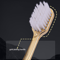 Brosse à dents en plastique électrolytique or/argent de luxe-Finition métallisée de qualité supérieure, sans BPA et adaptée aux voyages, logo personnalisé pour hôtel