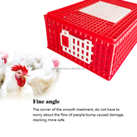 QA Haute Qualité Poulet Oiseaux Multicolore Volaille Caisse Double Porte Transport Cages