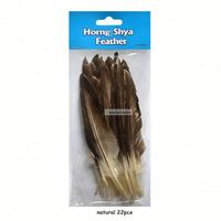 Plume de canard naturelle noire pour Arts artisanat bricolage coiffure chapeau cheveux Costume accessoire carnaval fête mariage maison Halloween décor