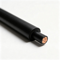 Kabel Daya Tegangan Rendah Youhui 0.6/1kV XLPE-Aluminium/Tembaga Selubung PVC IP65/IP67 Tahan Api (Kelas A/B) 6mm