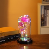 Lampu LED Bunga Mawar Terlaris, Hadiah Mawar Buatan dalam Kubah Kaca, Hadiah Sempurna untuk Hari Ibu dan Pernikahan