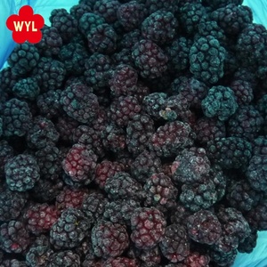 En vrac Fruits Biologiques mûres Congelées - Product Image 3