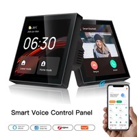 Panel de Control Inteligente con Pantalla Táctil Antihuellas de 4 Pulgadas Hiwink, Videoportero con Alexa Integrada, Detección de Movimiento, Resistente al Agua