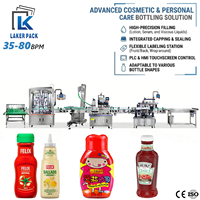 Ligne de remplissage automatique de bouteilles de ketchup et de purée de tomates en verre avec piston servo, solution d'emballage clé en main