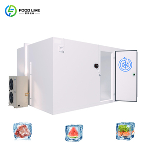 Cella Frigorifera Industriale di Grandi Dimensioni per Logistica, Stanza di Stoccaggio Refrigerata con Porta Scorrevole Automatica per Gelati, Cella Frigorifera Robusta - Product Image 1