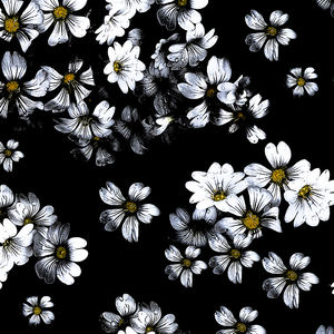 Nouveauté - Dernier catalogue - Tissu de robe Koshibo personnalisé élégant à motifs floraux noir et blanc pour robes de mariée - Product Image 6