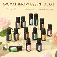 Ensemble de diffuseurs d'huiles essentielles pures de haute qualité 10 ml et 100 ml, huile de citron frais, huile d'eucalyptus, huile de clou de girofle