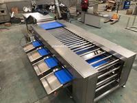 Hoog-efficiënte sorteermachine voor kiwi's, aardappelen, courgettes, tomaten, komkommers, uien, noten, fruit en groenten.